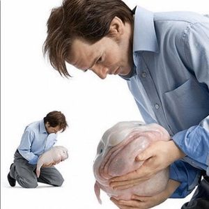 Meet your Posher, Priscilla